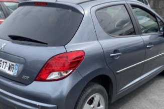 Porte arriere gauche PEUGEOT 207