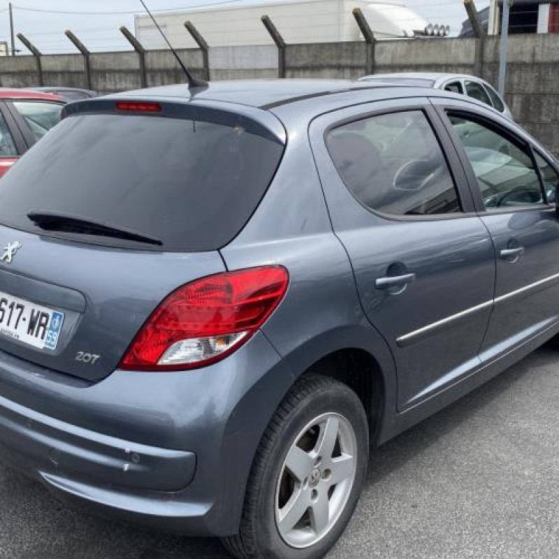 Porte arriere gauche PEUGEOT 207 Photo n°9