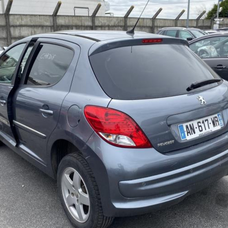 Porte arriere gauche PEUGEOT 207 Photo n°10