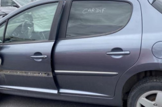Porte arriere gauche PEUGEOT 207