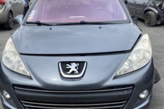 Porte arriere gauche PEUGEOT 207