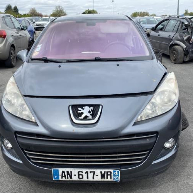 Porte arriere gauche PEUGEOT 207 Photo n°15