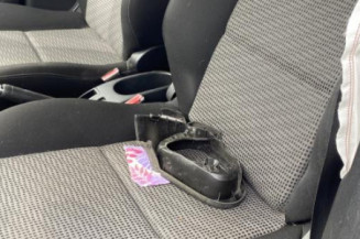 Porte arriere gauche PEUGEOT 207