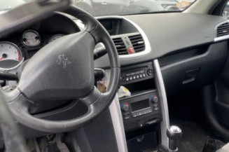 Porte arriere gauche PEUGEOT 207