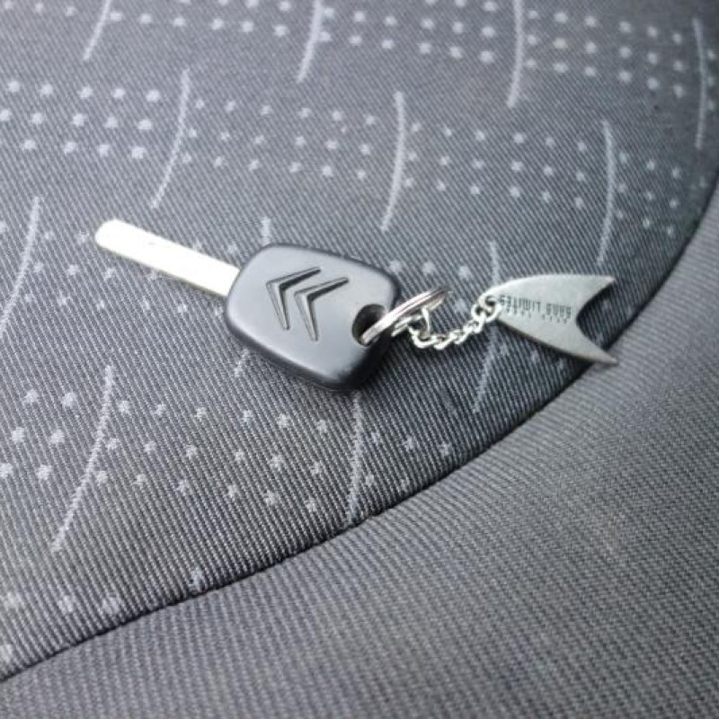 Porte avant droit CITROEN C3 1 Photo n°9