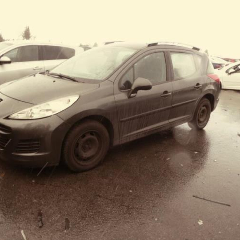 Porte avant droit PEUGEOT 207 Photo n°3
