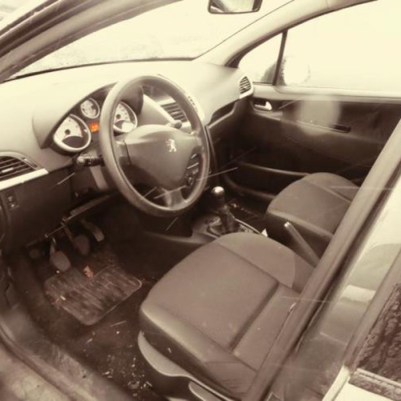 Porte avant droit PEUGEOT 207 Photo n°10