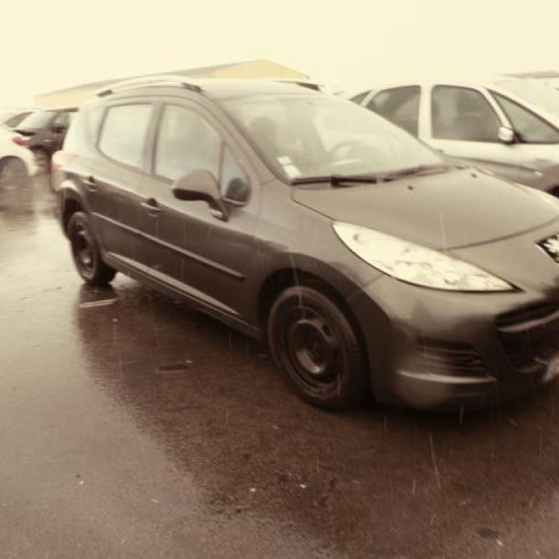 Porte avant droit PEUGEOT 207 Photo n°12