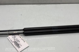 Verin de coffre CITROEN C4 GRAND PICASSO 1