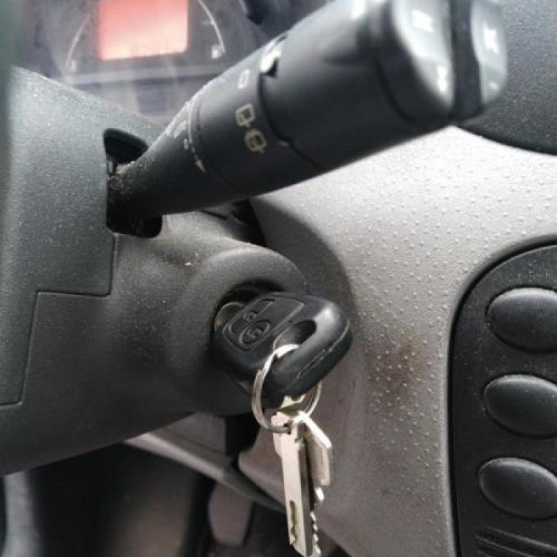 Calandre CITROEN C3 1 Photo n°10