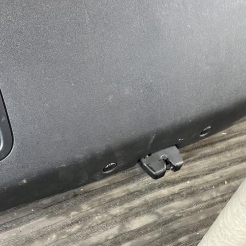 Malle/Hayon arriere CITROEN C4 PICASSO 1 Photo n°10