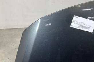 Capot PEUGEOT 3008 1
