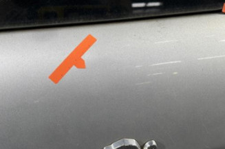 Malle/Hayon arriere PEUGEOT 307