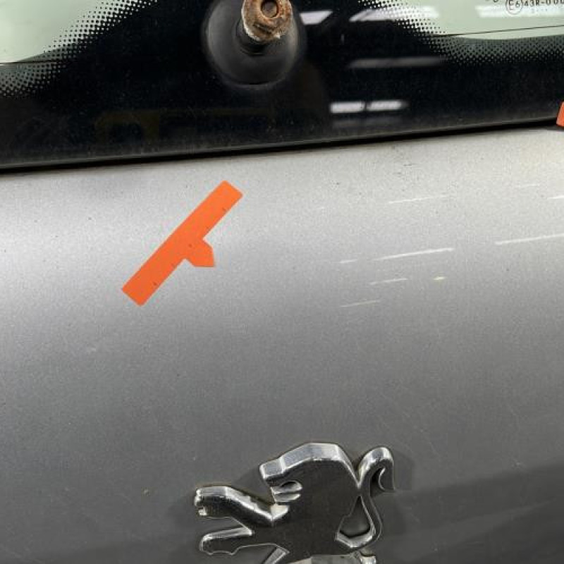 Malle/Hayon arriere PEUGEOT 307 Photo n°6