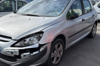 Malle/Hayon arriere PEUGEOT 307