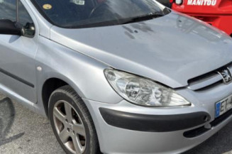 Malle/Hayon arriere PEUGEOT 307