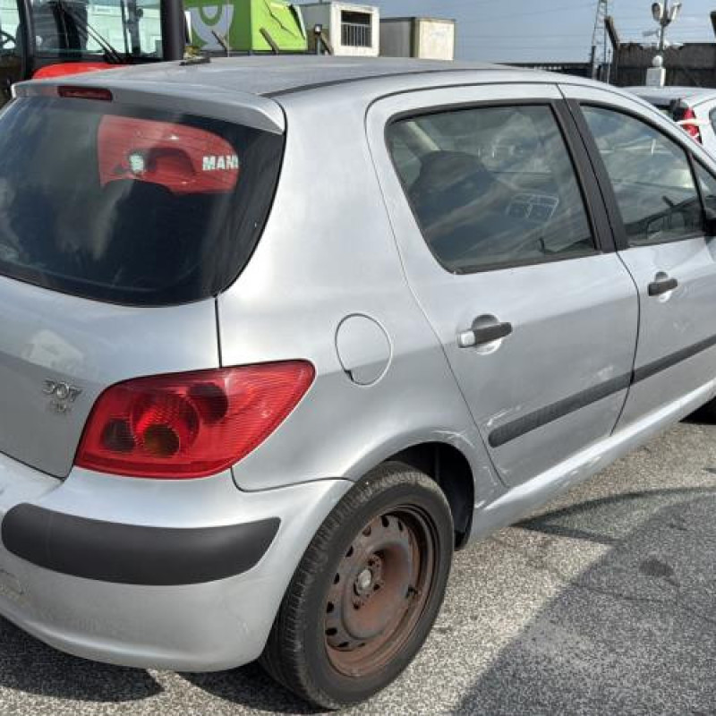 Malle/Hayon arriere PEUGEOT 307 Photo n°16