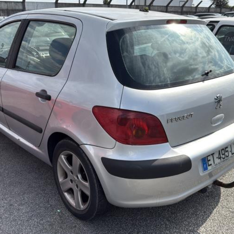 Malle/Hayon arriere PEUGEOT 307 Photo n°17