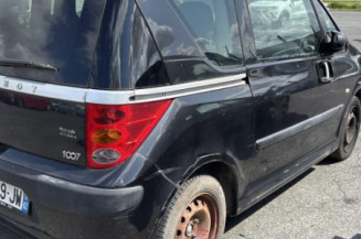 Calandre PEUGEOT 1007
