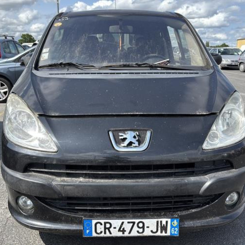 Calandre PEUGEOT 1007 Photo n°8