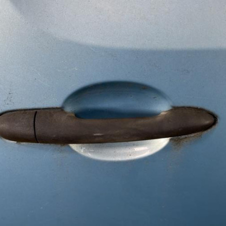 Porte laterale gauche RENAULT KANGOO 2