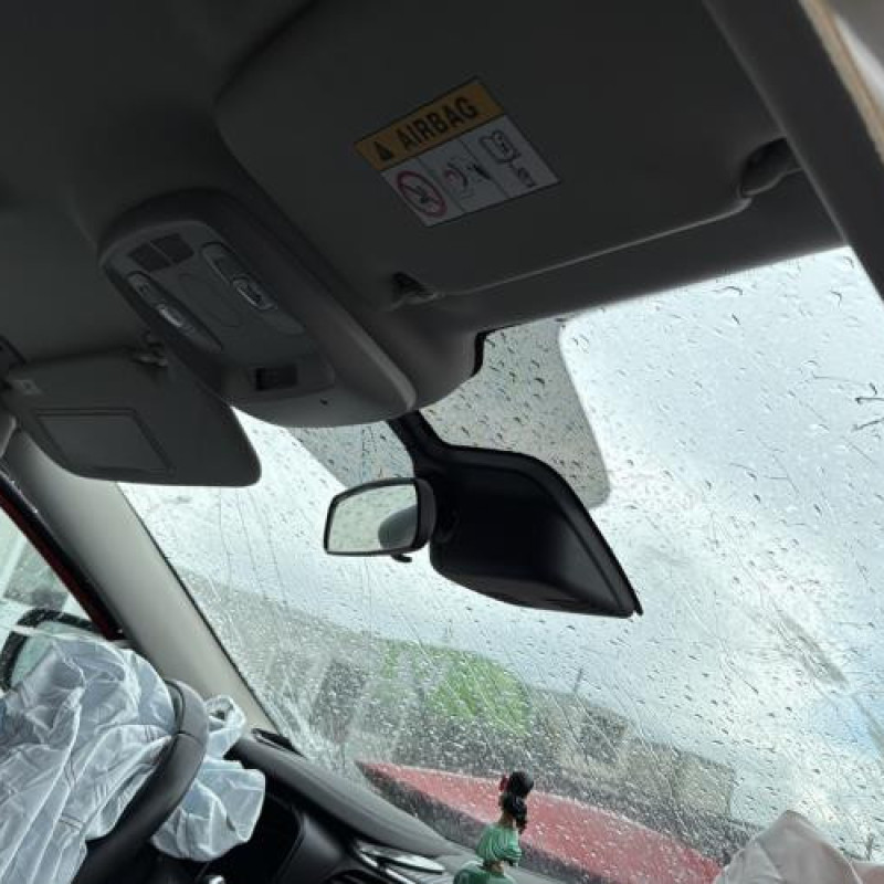 Arret de porte arriere gauche RENAULT KADJAR Photo n°18