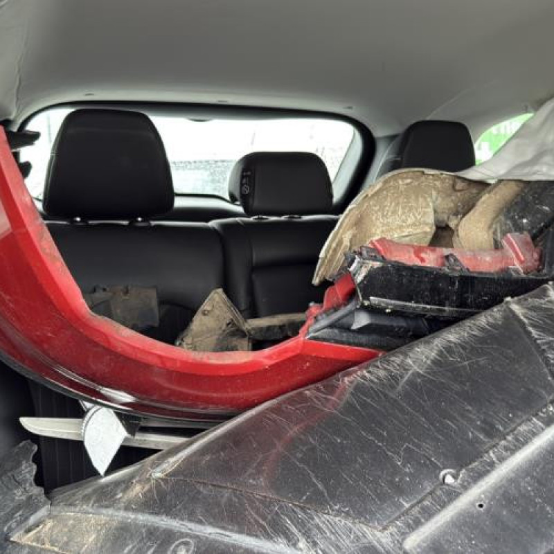 Arret de porte arriere gauche RENAULT KADJAR Photo n°19