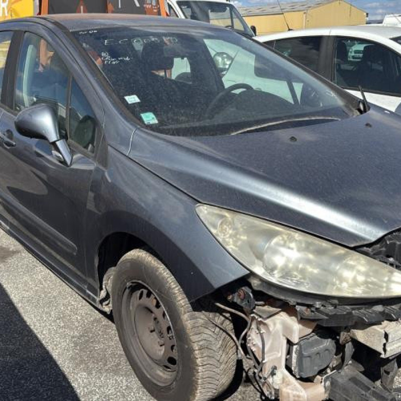 Porte avant droit PEUGEOT 308 1 Photo n°8