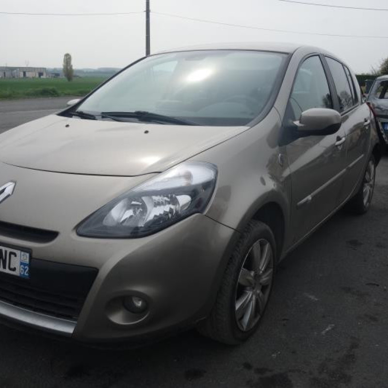 Porte arriere gauche RENAULT CLIO 3 Photo n°3