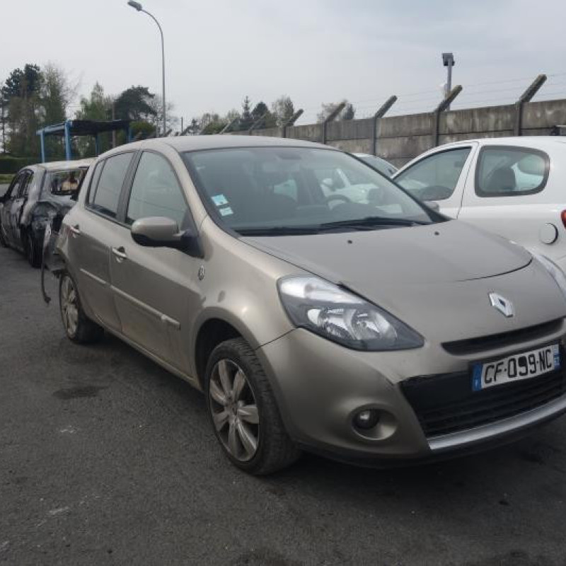 Porte arriere gauche RENAULT CLIO 3 Photo n°4