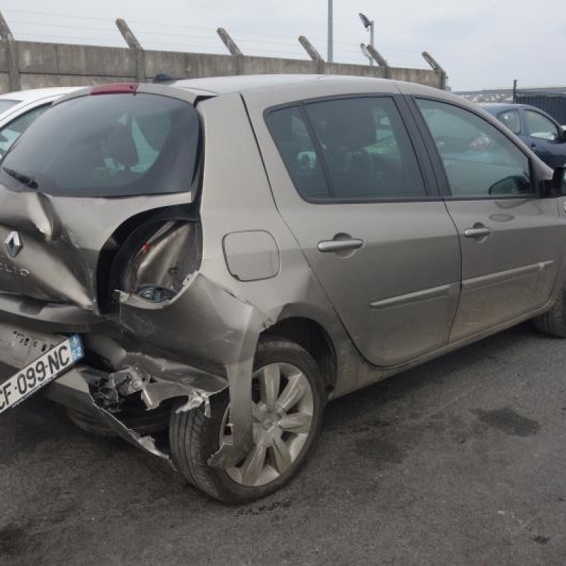 Porte arriere gauche RENAULT CLIO 3 Photo n°5