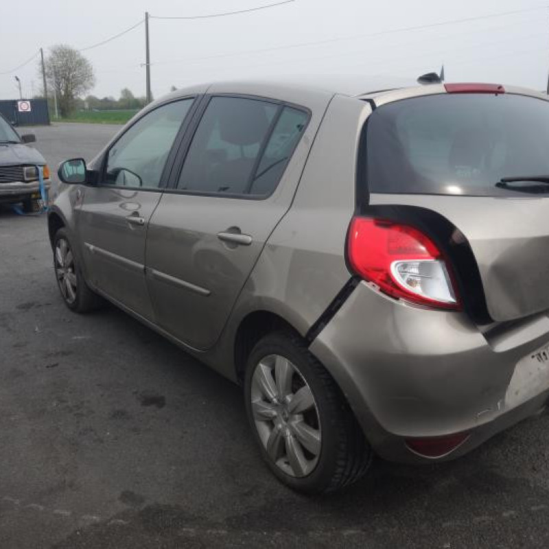 Porte arriere gauche RENAULT CLIO 3 Photo n°6