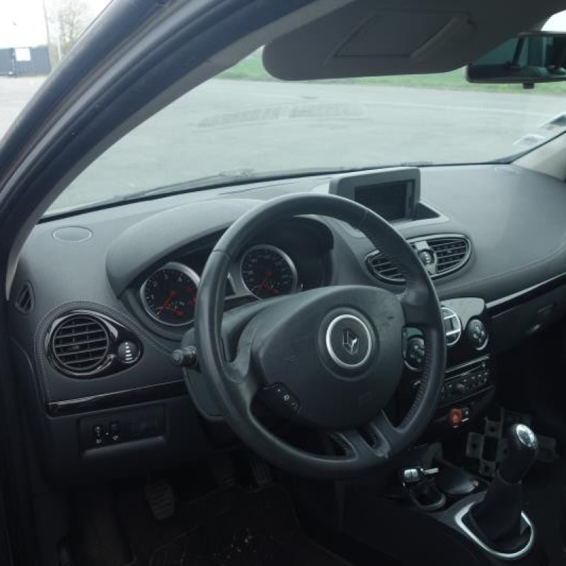Porte arriere gauche RENAULT CLIO 3 Photo n°7