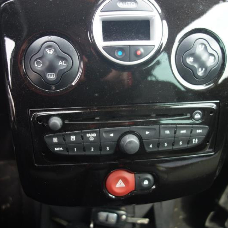 Porte arriere gauche RENAULT CLIO 3 Photo n°8