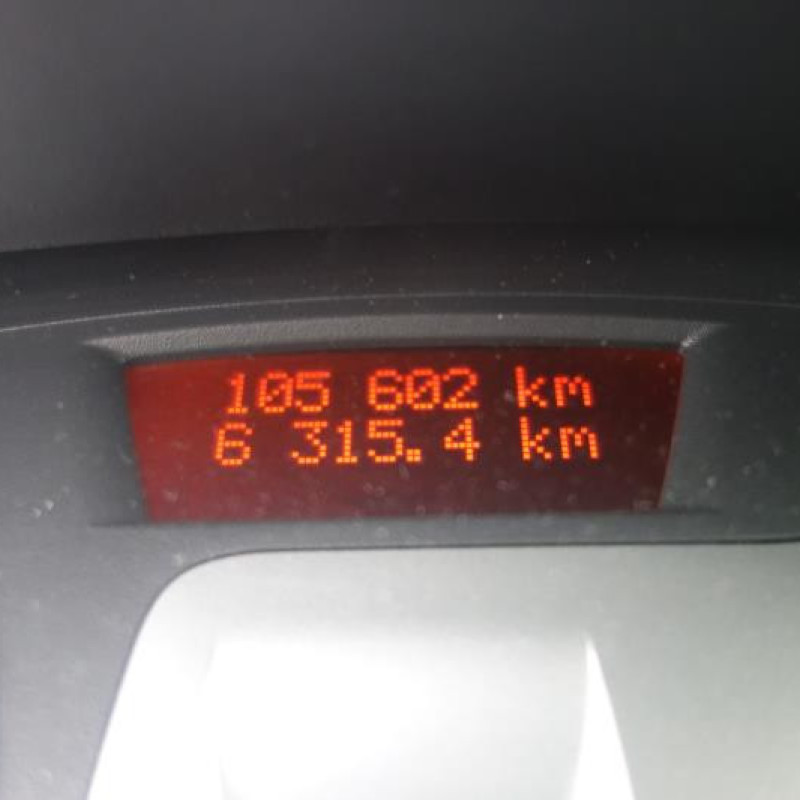 Porte arriere gauche RENAULT CLIO 3 Photo n°10