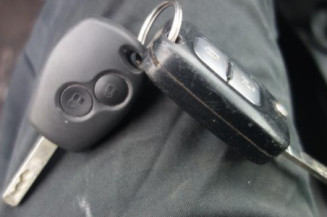 Porte arriere gauche RENAULT CLIO 3