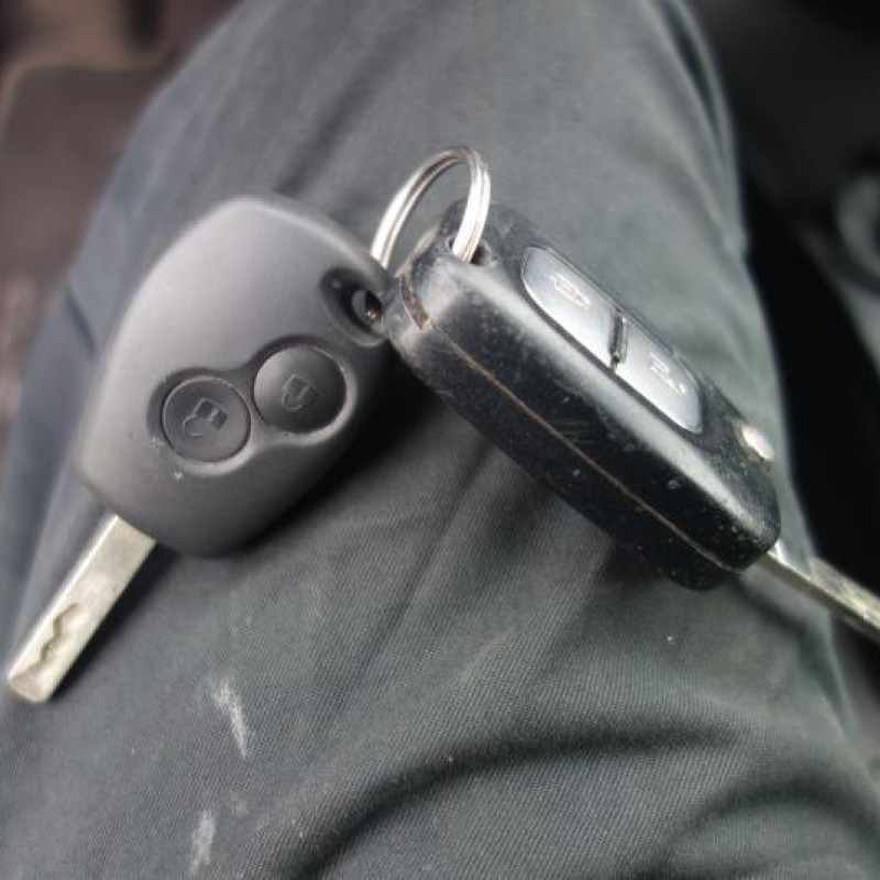 Porte arriere gauche RENAULT CLIO 3 Photo n°11