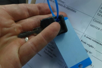 Custode arriere gauche (porte) RENAULT CLIO 1