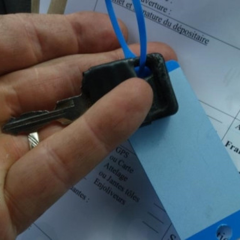 Porte arriere gauche RENAULT CLIO 1 Photo n°5