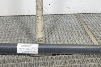 Baguette de porte arriere gauche  PEUGEOT 207 Photo n°1