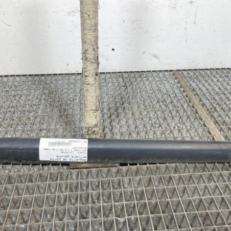 Baguette de porte arriere gauche  PEUGEOT 207 Photo n°1