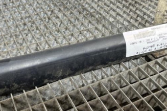 Baguette de porte arriere gauche  PEUGEOT 207