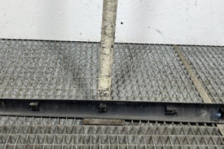 Baguette de porte arriere gauche  PEUGEOT 207