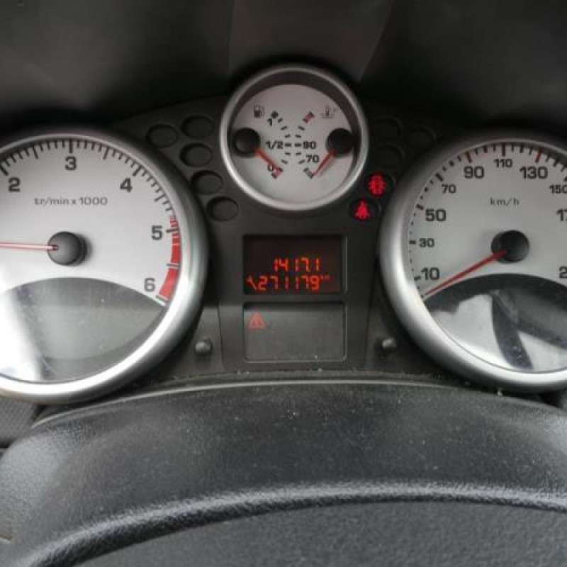 Baguette de porte arriere gauche  PEUGEOT 207 Photo n°8