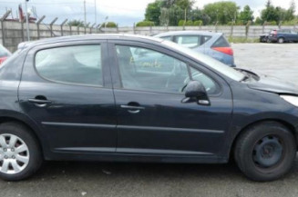 Baguette de porte arriere gauche  PEUGEOT 207