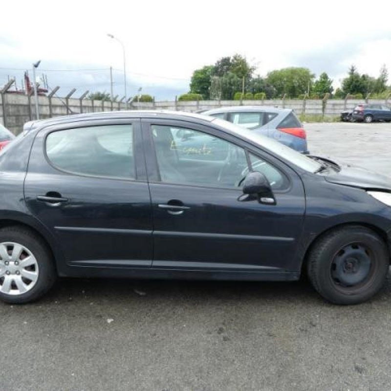 Baguette de porte arriere gauche  PEUGEOT 207 Photo n°10