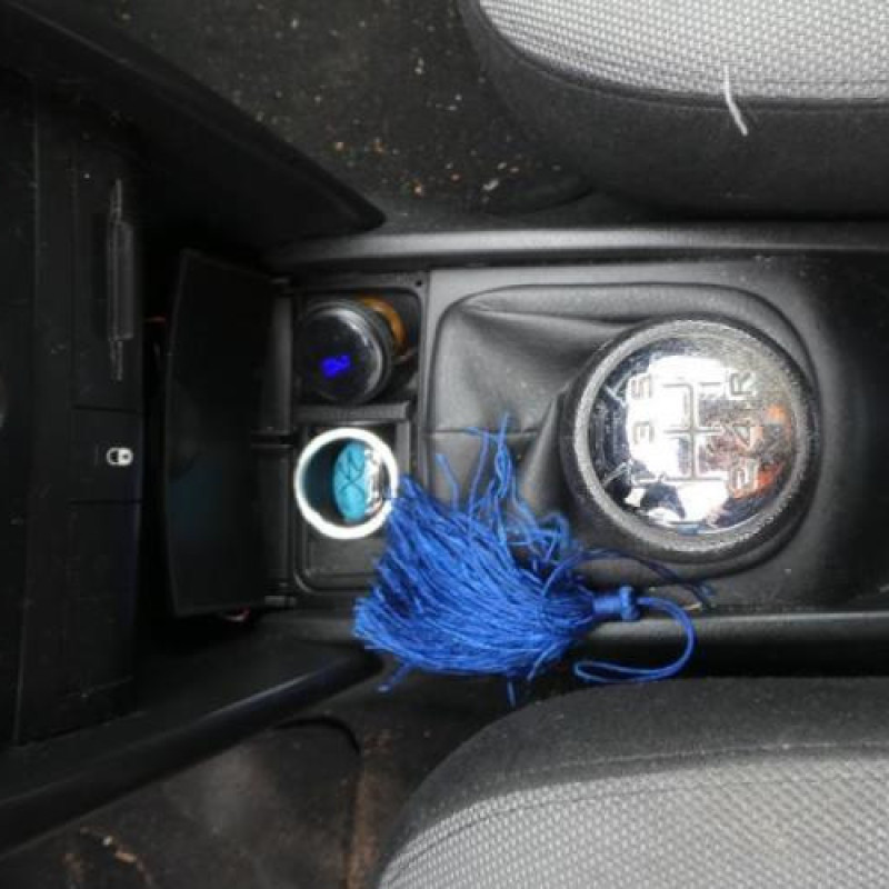 Baguette de porte arriere gauche  PEUGEOT 207 Photo n°11