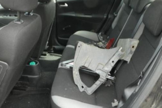Baguette de porte arriere gauche  PEUGEOT 207