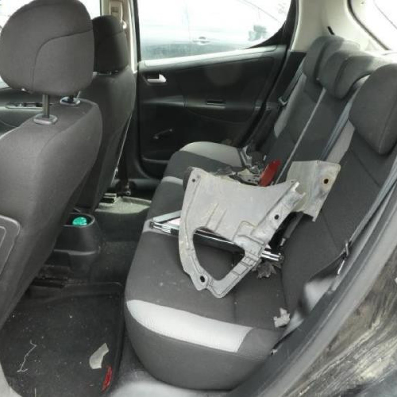 Baguette de porte arriere gauche  PEUGEOT 207 Photo n°14