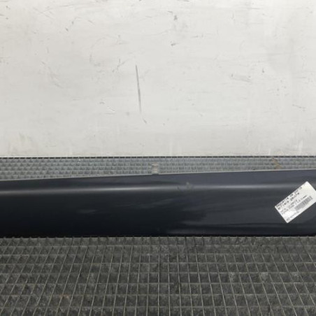 Baguette de porte arriere gauche  DACIA DOKKER Photo n°1